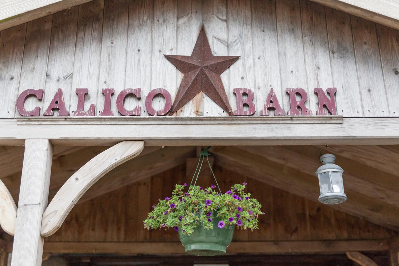 Calico Barn Hostel Widdrington Exterior photo